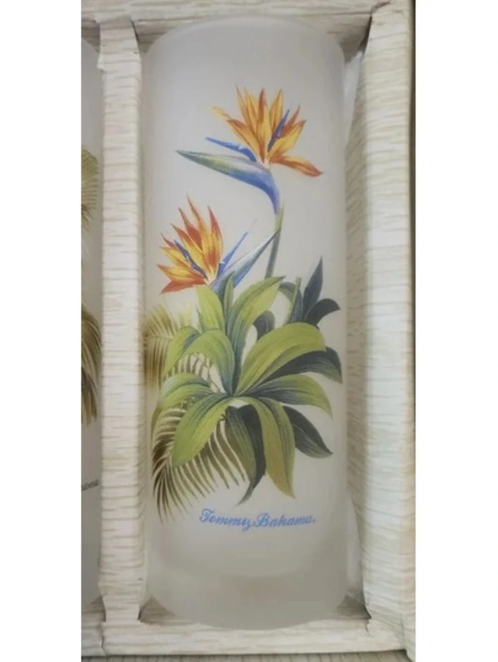 Vintage Collector's Tommy Bahama Frosted Tropical Tumblers Set of 6 (Never Used)